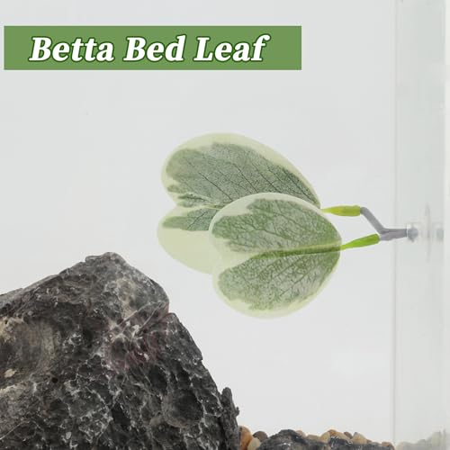 Betta Fish Bed, Betta Leaf Bed, Plastic Betta Heart-Shaped Hammock, Betta Hammock Pad with Suction Cup, Betta Fish Resting Place Betta Fish Supplies Aquarium Decor, Light Green - color: Light Green