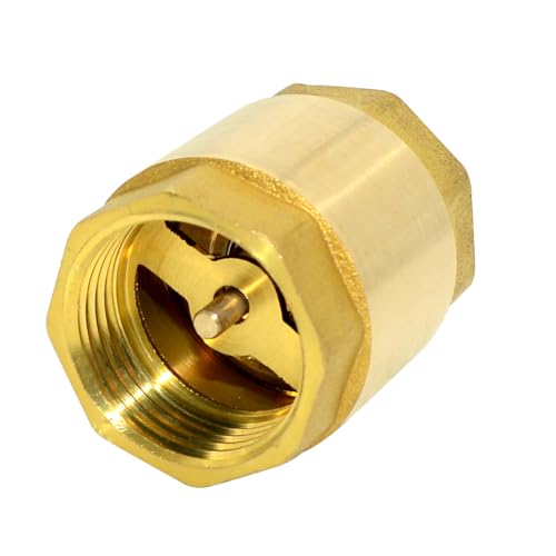 DAN SPEED Brass Check Valve,Female Thread Spring Check Valve,One Way Horizontal Check Valves for Backflow Prevention,Well, Pump, Tank ((DN25) 1'')