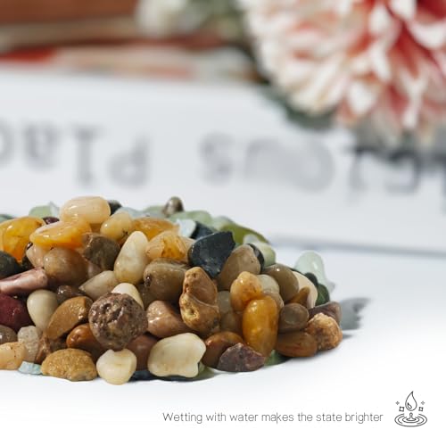 3Lb Pebbles for Indoor Plants,River Rocks for Succulent Plants,Aquarium Gravel,Decorative Stones Bonsai Garden Pebbles,Aquarium Rocks for Landscaping,Plants,Vase Fillers (Brown) - color: Brown