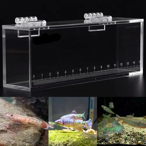 Fish Viewing Box Acrylic Outdoor Indoor Micro Landscape Fish Tanks Fishing Photo Tank Fish Breeding Tanks Photo Box with Scale(L) - size: L