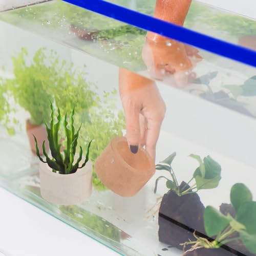 iplusmile Aquarium Plant Holder Rings 1.77In Ceramic – Weighted Anti-Float Secure Fixing – for Fish Tanks Freshwater Aquariums Shrimp Tanks for Live Aquatic Plants Grass Decor