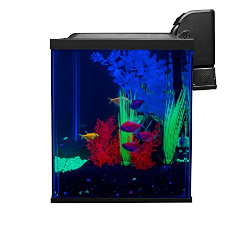 Glofish 10 Gallon Aquarium Fish Tank Kits, Includes LED Lighting and Décor (Amazon Exclusive) - size: 10-gallon kit