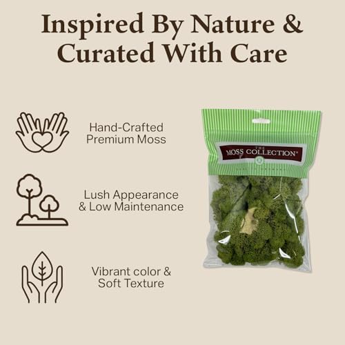 Preserved Reindeer Moss - Moss for Crafts, Home Decor, Art, Design & DIY Projects - Non-Toxic - USA Made (Spring Green, Small) - color: Spring Green, size: Small