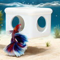 White Floating Betta Hideout with Round Side Holes – 3D Floating Breeding Box & Resting Cave with Window – Feeding Platform, Fish Shelter & Hammock for Betta, Guppies, Nano Tanks & Small Aquariums - color: C: White