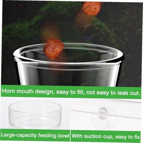 Shrimp Feeder Tube and Feeding Dish Set 20cm Crystal Glass Aquarium Feeder Tube with Feeding Box for Fish Tank Supplies