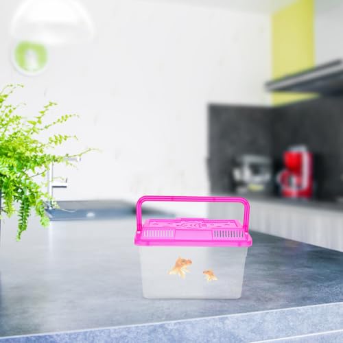 TOYANDONA 4pcs Mini Plastic Aquarium Breeding Box with Handle Fish Tank for Turtles and Small Pets Portable Transparent Container for Easy Viewing and Transport