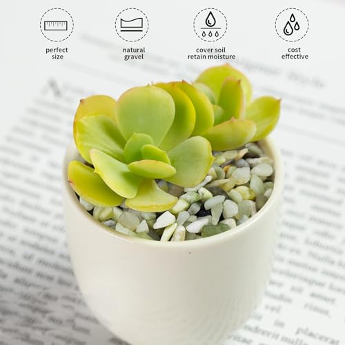 FANTIAN 5 lbs Jade Pebbles for Indoor Plants,1/4 inch Polished Gravel Rocks for Plants, Succulents, Cactus, Vases, Terrarium and Outdoor Gardening - size: 5 pounds, style: Jade