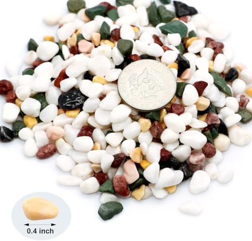 Natural Decorative Pebbles Rocks Polished Tterrarium Gravel White Stones with Red, Green, and Yellow Pastel Accents Mixed Color Aquarium Stones Garden Accessories Top Dressing for Bonsai Potted 2.2lbs - color: Five Colors Mixed, size: 2.2 lb