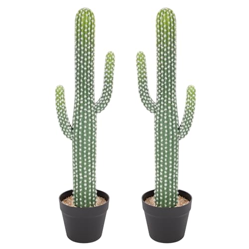 2 Pcs Artificial Cactus Plants Indoor, 31 Inch Tall Realistic Fake Cactus Outdoor, Lifelike Faux Cacti Plant Potted for Home, Office, Store, Garden, Porch Decor. - size: 31 Inch-2Pcs