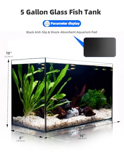 5 Gallon Clear Glass Fish Tank, Easy to Maintain Small Aquariumfor Betta, Goldfish, Snail,Shrimp and Aquatic Planting - color: Black, size: 5 Gallon