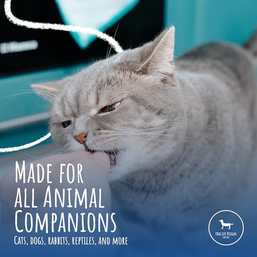 Park Life Designs Oscar Cat Dish - Feeding Bowls - Cat Shaped Food and Water Bowls for Cats (Cream) - color: Cream