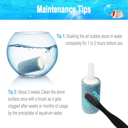 15 Pack Aquarium Air Stones - Air Pump Accessories of 1 Inch Cylinder Fish Tank Air Stone Aerator Bubble Diffuser for Nano Air Pumps Fish Tanks and Small Buckets - size: 15 PCS Air Stone