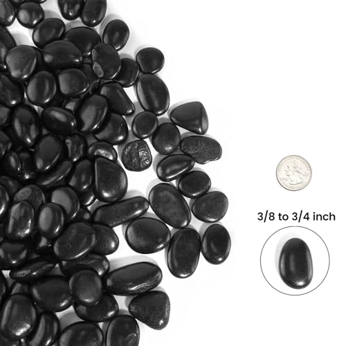 StoneCreek River Rocks, Decorative Garden Stones for Plant Landscaping, Polished Gravel Filler Pebbles for Home Decoration, Vases, Succulents, Flower Beds (6 LBS, Black, Medium) - color: Black, size: 6 LBS