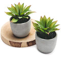 Kurrajong Farmhouse Artificial Plants Indoor | Set of 2 Fake Plants for Desk Decor | Artificial Succulents in pots | Fake Succulents| Faux Plants Indoor | Faux Agave for Shelf Decor