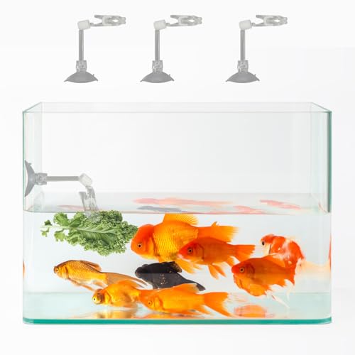 6 Pack Aquarium Suction Cups with Clips, Fishes Veggie Seaweed Plant Suction Cup Clip, Fish Feeding Tool, Fresh Food Feed Holder for Fish, Shrimp & Aquatic Pets and Fish Tank
