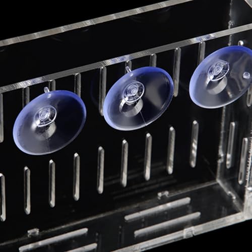 Aquarium Plant Holder, Fish Tank Plant Holder Cup, Acrylic Planter Grass Container with Suction Cups for Water Feature Decoration
