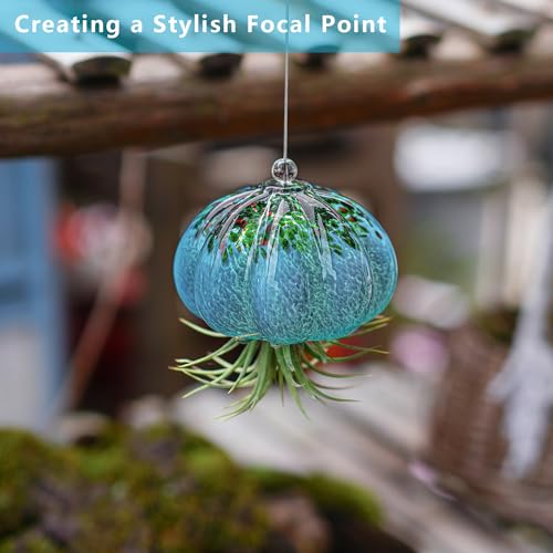 H&D HYALINE & DORA Handmade Blown Glass Hanging Jellyfish Air Planter for Live Succulent Air Plants (No Plants) - color: Jellyfish-sea Blue