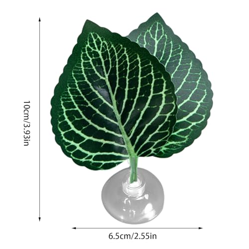Betta Fish Bed - Betta Fish Leaf Hammock | Betta Resting | Comfortable Rest Area for Fish | Betta Hammock Plant Leaves | Breathing Breeding Pads Improve Betta's Health by The Natural Habitat