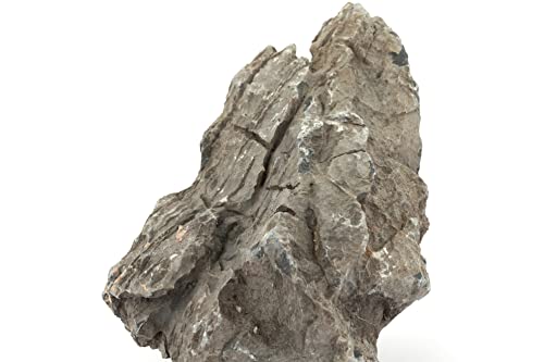 Seiryu Stones Natural Rocks for Aquarium, Paludarium, Terrariums, Landscaping Rocks, Aquascaping, 80L (36lbs) 3-11in, Seiryu Stones(3-11inch,36lbs) - size: 07 Seiryu Stones(3-11inch,36lbs)