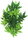 Exo Terra Silk Terrarium Plant, Medium, Abutilon