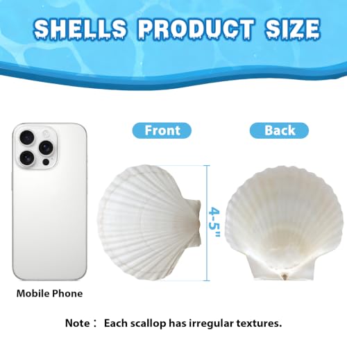 VMEECARL 20Pcs 4''-5'' Large Scallop Shells for Crafts,Natural White Sea Shells for Hand Painting, DIY Home Decor, Family Crafting Projects,Decoupage & Gift Ideas