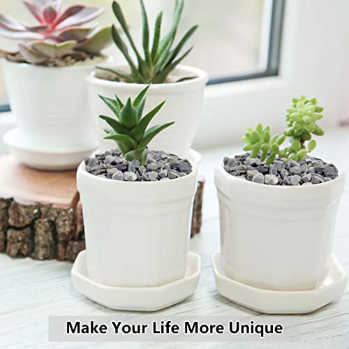 YISZM 2LB Succulent and Cactus Gravel Pebbles, 1/5 Inch Natural Decorative Polished Stones, River Rocks for Plants, Vases, Aquariums, Terrarium and Outdoor Gardening,Grey - color: Grey, size: 2 Pounds
