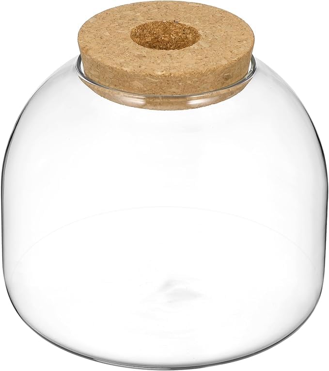 Cork Bottle Fish Bowl Vase Terrarium Bowl Jars with Lids Hydroponic Plants Container Small Fish Tank Cookie Jar