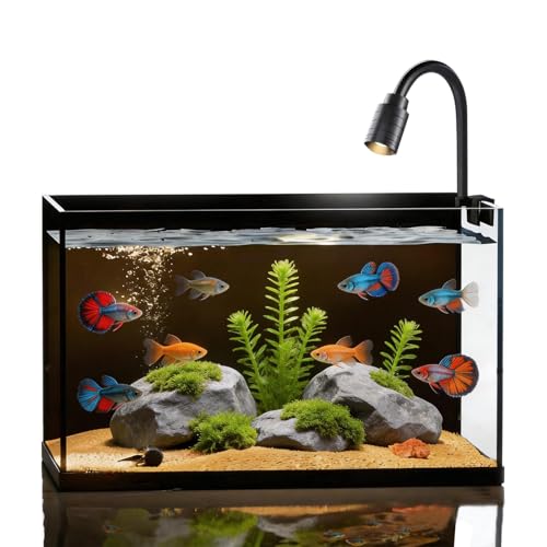 Small Fish Tank Kit,Nano Ultra-Clear Glass Rimless Black Desktop Fish Tank with Light Cleaning Tool & Décors,Small Fish Aquarium for Betta,Shrimp,Small Fish (2Gal Fish Tank Starter Kit)