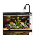 Small Fish Tank Kit,Nano Ultra-Clear Glass Rimless Black Desktop Fish Tank with Light Cleaning Tool & Décors,Small Fish Aquarium for Betta,Shrimp,Small Fish (2Gal Fish Tank Starter Kit)