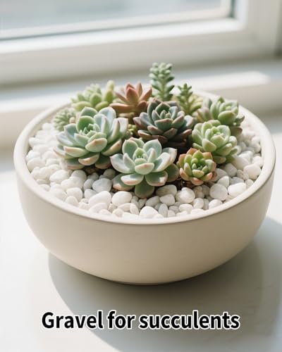 12LB White Succulent & Cactus Gravel Pebbles - 1/4-3/8 Inch Natural Polished River Rocks, Decorative Stones for Plants, Terrariums, Vases, Aquariums & Outdoor Gardening - color: White, size: 12 lb