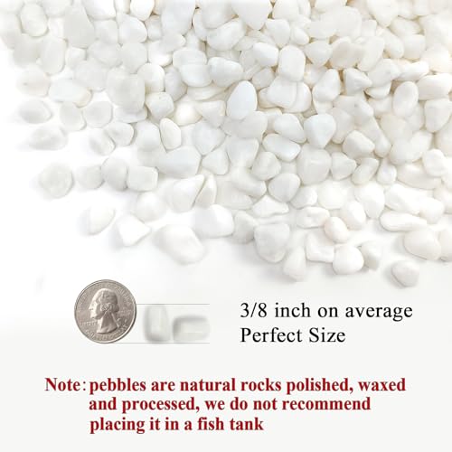 FANTIAN 10 lbs White Pebbles for Indoor Plants, 3/8 Inch Decorative White Stones. Polished River Rocks for Potted Plants Vase Cactus Bird Bath and Outdoor Garden Landscaping - size: 10 pounds, style: White