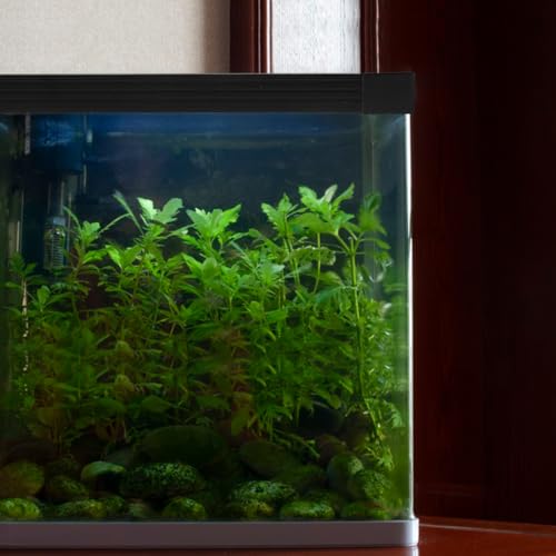 Milisten Fish Tank Edge Trim with Corner Connectors 12In Aquarium Edge Protector Strip Flexible Cuttable for Glass Fish Tanks Safety and Maintenance
