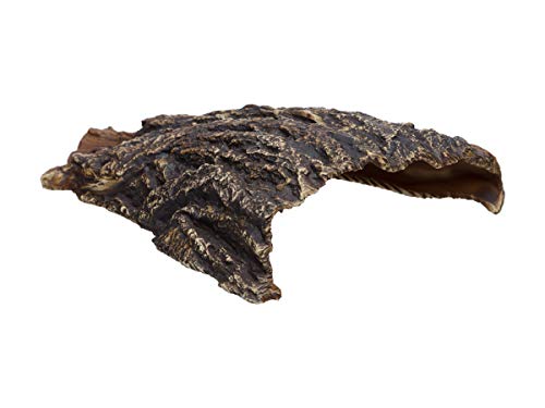 Plecoceramics Aquarium Cave - Ceramic Betta Fish Tank Decor - Natural Aquarium Decor - Large Reptile Hide - Fish cave Hideout - Snake Hide - Cave for Cichlids and plecos (Cave)