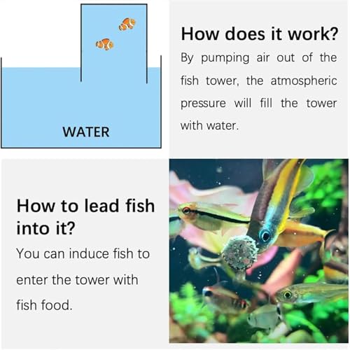 AeroAquarium Negative Pressure Fish Tower, Anti-Gravity Desktop Aquarium with Self-Filling Water Column, Vacuum Floating Fish Tank Decor for Betta, Zen Home Office Decor Gift (5.9” * 3.15” * 3.15”) - size: 5.9” * 3.15” * 3.15”