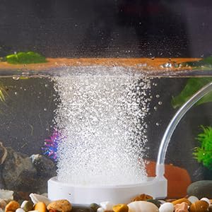 Rise Torrent Nano Air Stone with Case, Silent High-Oxygen Diffuser for Aquarium, Fish Tank & Hydroponics - 3.9 Inch White Small Bubble Diffuser Accessories (No Air Pump and Air Tube) - color: White, size: 3.9"