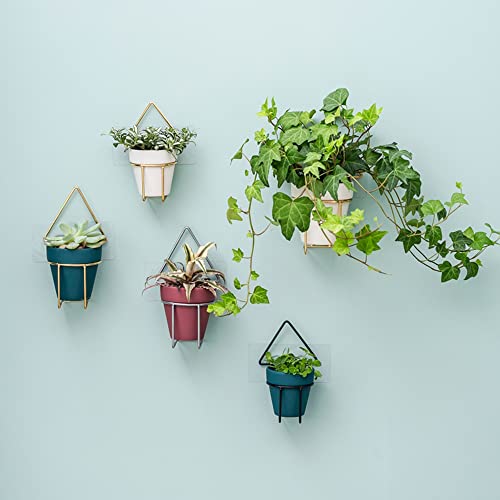 Yishang 2.5 inch White Terracotta Pots with Drainage Holes,Small Mini Clay Ceramic Pottery Planter,Cactus Flower Terra Cotta Pots,Succulents Nursery Pots for Indoor/Outdoor Plants,Crafts-12 Pack - color: White