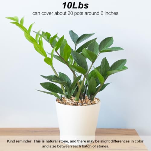 Landscape Rocks,Landscaping Pebbles,River Rocks,Decorative Ornamental Pebbles,Garden Landscaping Stones, Gravel Filler for Home Decoration Flower Bed Fish Tank Plants Vases Succulents (10 Pounds) - color: Mix Color, size: 10 Pounds