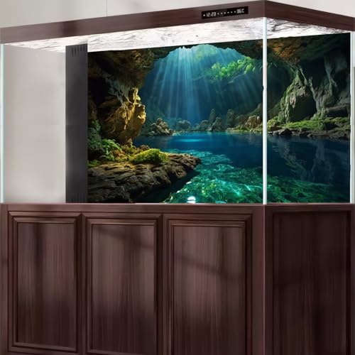 Underwater Cave Aquarium Background Ocean Seaside Rock Cave Fish Tank Background Tropical Seashore Sunrays Blue Sky Terrarium Backgrounds Misty Stunning Seascape Reptile Tank Backgrounds 24x16in - color: Dark Blue, size: 24(W)x16(H)in