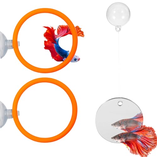 Beta Fish Aquariums Accessories, 1 Fish Mirror with Floating Ball & 2 Exercise Training Ring Toys, Fish Feeding Ring, Betta Fish Toys Set for Tank, Enrichment Toys for Fish - color: orange ring