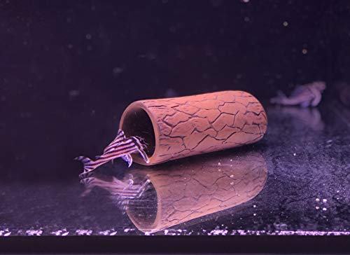Plecoceramics Pleco Cave Breeding Ceramic Decorations Fish Tank Aquarium Medium Size (1 pcs)