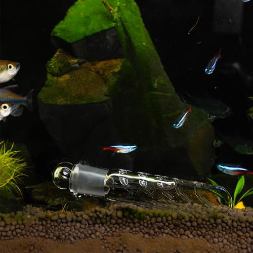 Qualirey 4 Pack Planaria Catch Trap for Aquarium Snail Leech Clear Glass Planaria Trap for Dwarf Shrimp Red Cherry Shrimp Tank(5 Holes) - style: 5 Holes