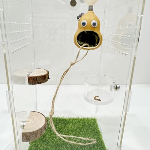 5pcs Handmade Spider Enclosure, Shelter Made of Natural Materials, Magnetic Hidden Jumping Spider Habitat