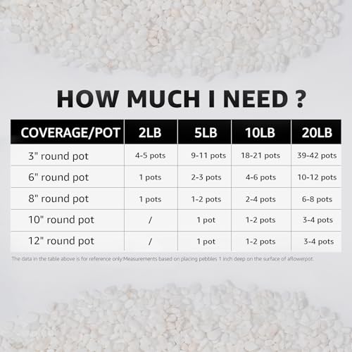 5lbs Natural Gravel Pebbles for Succulents and Cacti, 1/5 Inch Decorative River Stones – Perfect for Vases, Aquariums, Terrariums, and Outdoor Gardening, Mixed Colors (White, 5 Pounds) - color: White, size: 5 Pounds