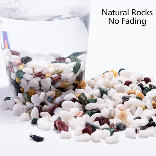 Boniosz 2LB Succulent and Cactus Gravel Pebbles, 1/4 Inch - 1/3 Inch Natural Decorative Polished Stones, River Rocks for Plants, Aquariums, Vases, Terrarium and Outdoor Gardening, 5 Mixed Colors - color: 5 Mixed Colors, size: 2lb