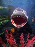 Aquarium Decor Magnetic Great White Shark Ornament – Wall-Mounted Fish Tank Accessory