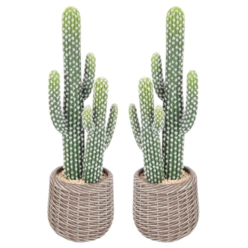2 Pcs (26 Inch) Artificial Cactus Plant Outdoor, Realistic Fake Cactus Decoration Indoor with Woven Planter, Faux Cacti for Home Office Store Garden Living Room Decoration. - size: 26 Inch-2Pcs