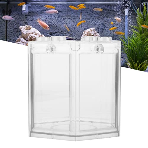 Fish Clear Goldfish with Light Desktop Small Fish for Betta Fish, Shrimp, Goldfish(Transparent)