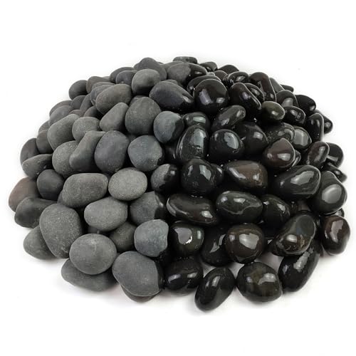 FANTIAN 10 lbs Black River Rocks, 1-2 Inch Black Stones Pebbles for Plants, Landscaping, Garden, Aquarium, Backyard and Indoor Water Fountains - color: Black, size: 10 lbs, 1-2 Inch