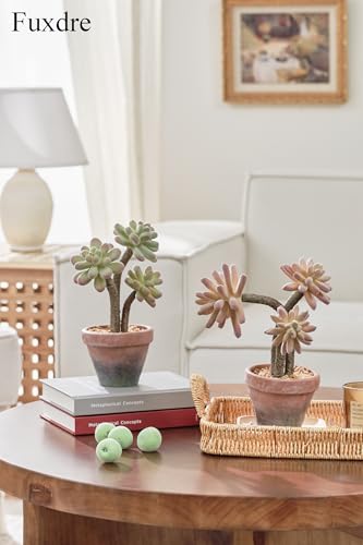 2-Pack Artificial Succulent Plants in Vintage Plastic Pots - Waterproof Fake Succulents Decor for Home, Office, Desk - Low Maintenance Indoor Plants for Bathroom, Shelf, Table Decor - color: Succulent-a-2pcs