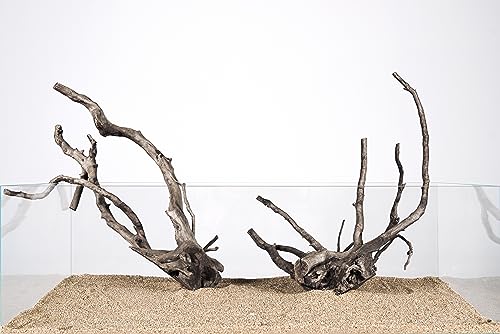 LANDEN Natural Spider Wood Aquarium Decorative Fish Tank Decorations, Driftwood Branches (12-16 Inch, XL) 4 Pcs - size: XL(12~16 inches, 30-40cm), 4pcs
